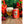 Load image into Gallery viewer, 2024 12 BEERS OF CHRISTMAS