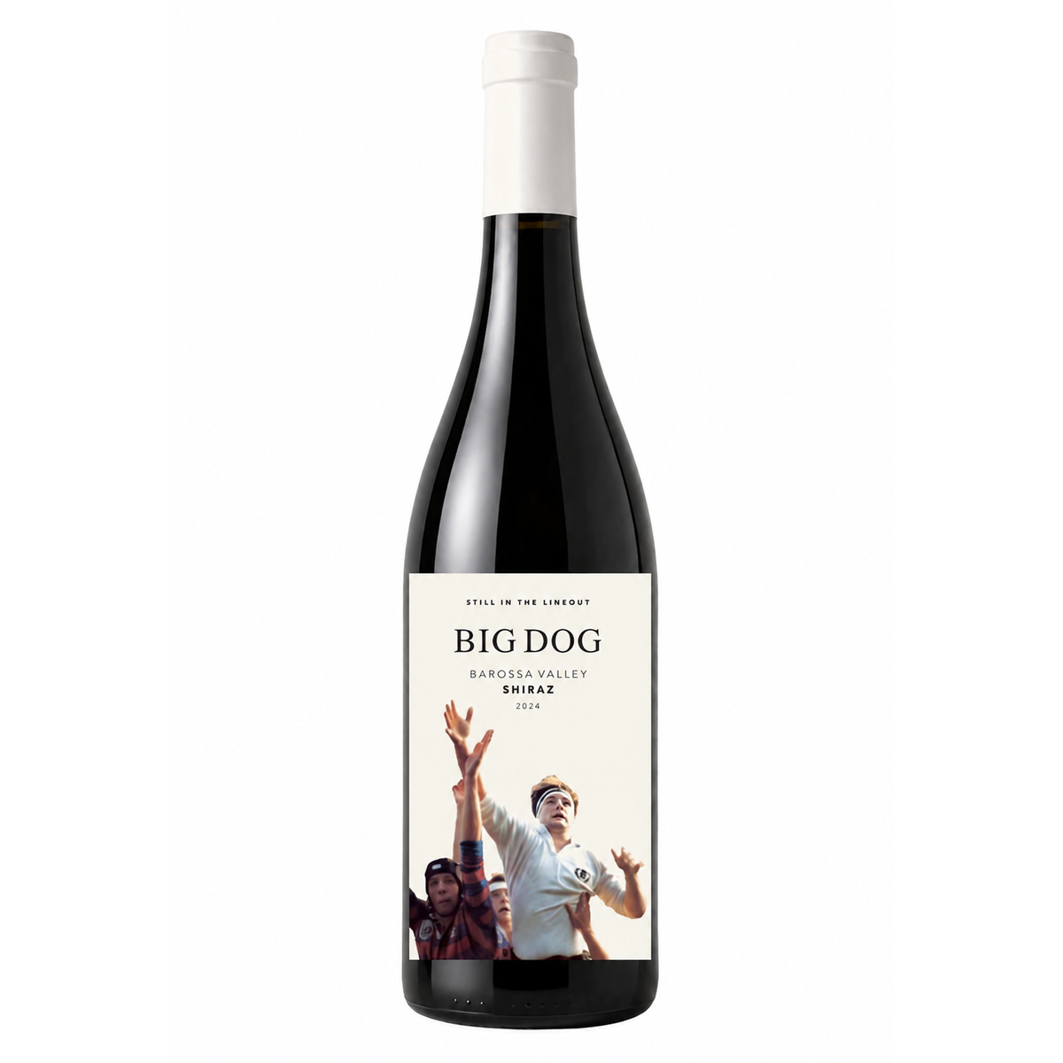 BIG DOG SHIRAZ