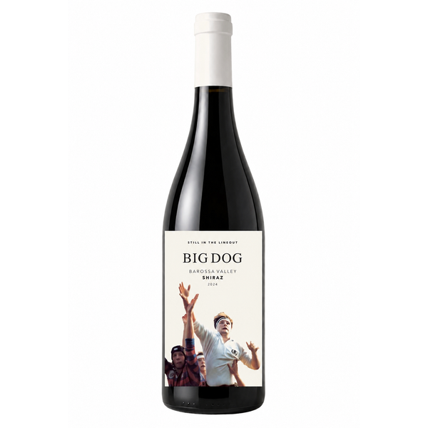 BIG DOG SHIRAZ