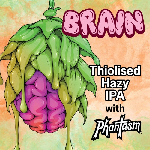 'MIX 6 OR MORE GET 20% OFF' ONE DROP BREWING BRAIN HAZY IPA 6.7% ABV